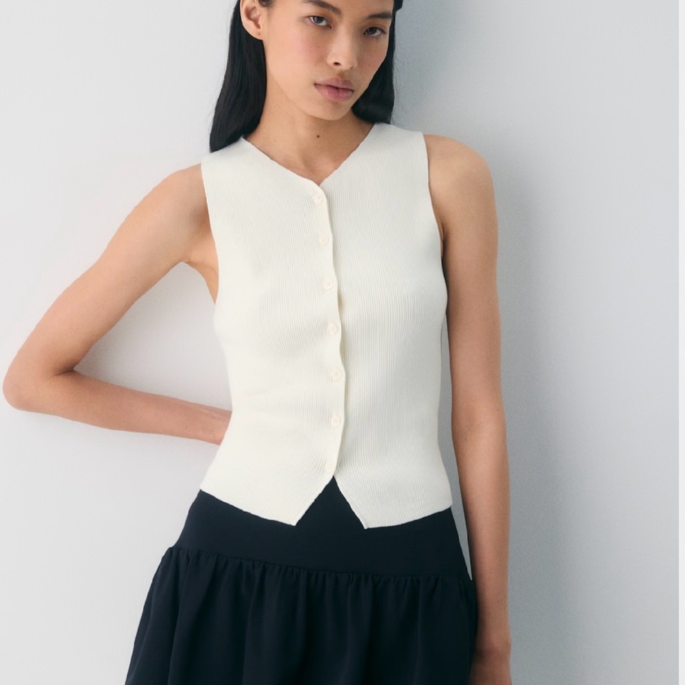 Aritzia Wilfred Croquet Sweater Vest in the shade Glimpse.